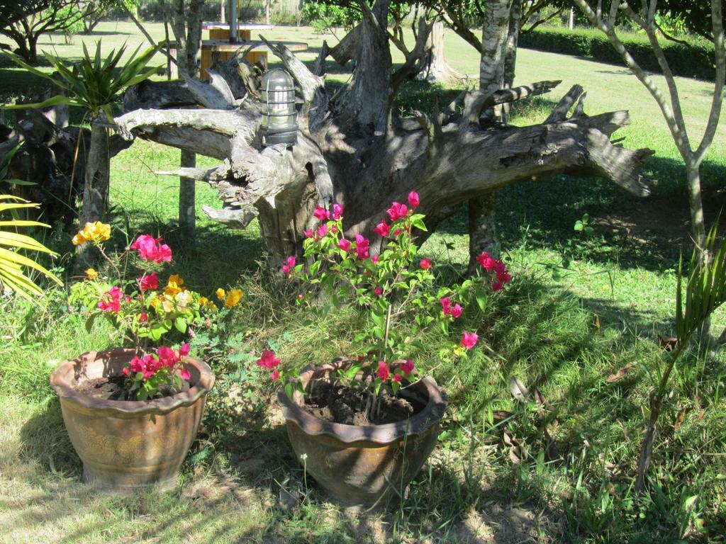 פאי Orange Grove Resort מראה חיצוני תמונה